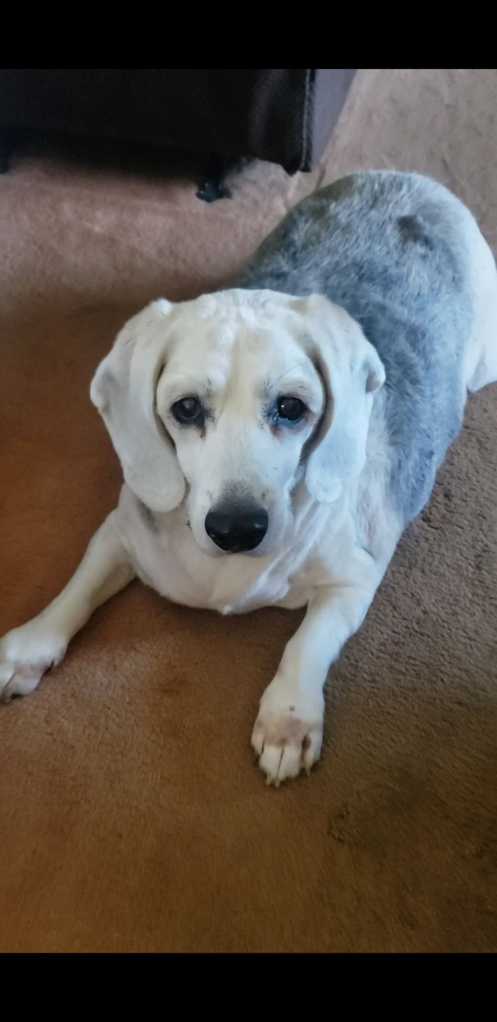 Benny